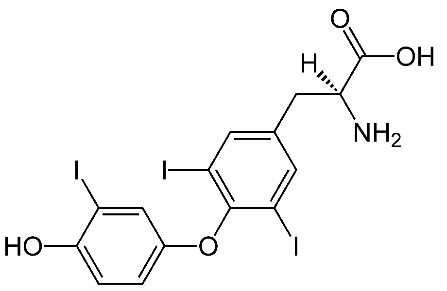 T3 tri-iodothyronine
