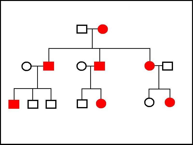 Autosomal dominant family tree
