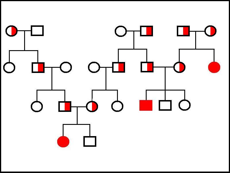 Autosomal recessive family tree