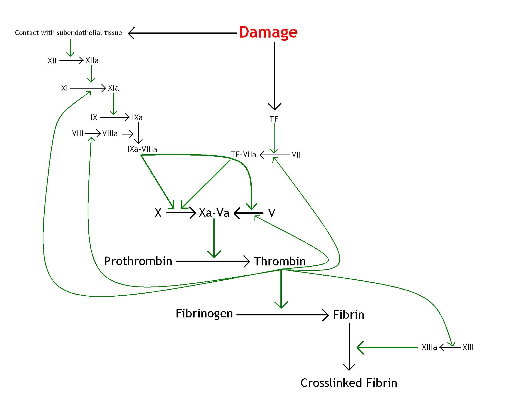 define precipitate form coagulation