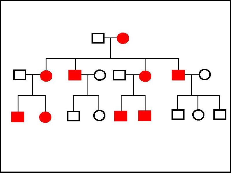 Mitochondrial disease family tree
