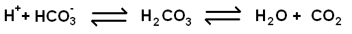Carbonic acid equilibrium